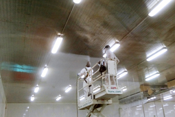 Painting and renew walls, ceilings and baseboards of the food industry and health sectors, with FoodGrade paint for direct and indirect contact with food and beverages.  